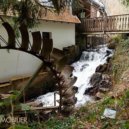 Appartement Le Domaine De La Source Calme Et Ressourcant à Barr Extérieur photo